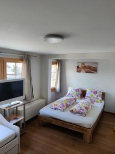 um quarto com uma cama com almofadas e uma televisão em Little Chalet Pirelli 1783 em Interlaken