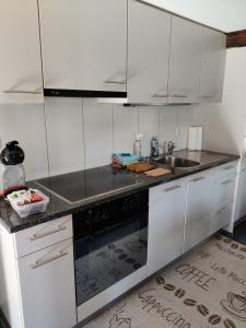 Kuchyň nebo kuchyňský kout v ubytování Little Chalet Pirelli 1783