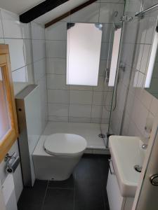 Koupelna v ubytování Little Chalet Pirelli 1783