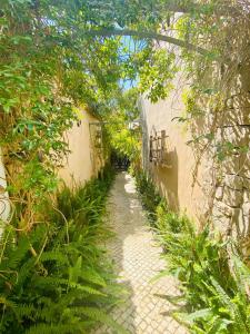 an alley way with plants on the side of a building at AlvorKiteCenter Guesthouse in Alvor