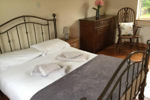 1 dormitorio con 1 cama con 2 almohadas en Heron Water Cottage, en Killarney