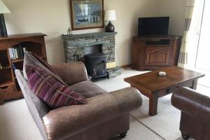 a living room with a couch and a fireplace at Heron Water Cottage in Killarney