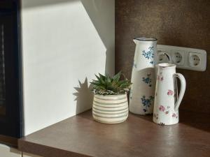 dois vasos e uma planta num balcão em Ferienhaus mit Charme em Attersee am Attersee