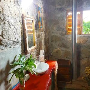 a bathroom with a sink and a potted plant at Butterfly Space- A Non-Profit Eco-Lodge in Nkhata Bay +151 photos