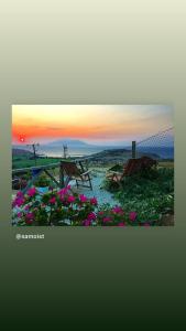 two benches and flowers with a sunset in the background at Dimitri Ada Evi & Restaurant in Gokceada Town