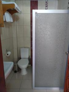 a bathroom with a toilet and a shower door at Olympos Yavuz Hotel in Cıralı