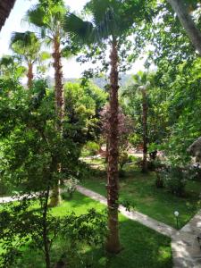 Zahrada ubytování Olympos Yavuz Hotel