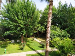 Zahrada ubytování Olympos Yavuz Hotel