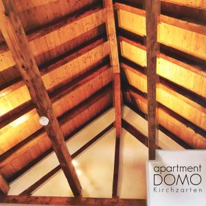 Fotografie z fotogalerie ubytování Apartment DOMO Kirchzarten v destinaci Kirchzarten