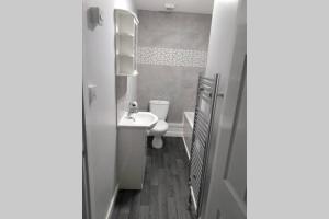 a small bathroom with a toilet and a sink at 3 Story House near Bike park Wales & zip world in Aberaman