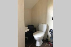 a bathroom with a white toilet in a room at Studio de la porte de Samois in Moret-sur-Loing +2 photos