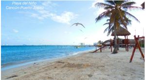 a beach with a palm tree and the ocean at Ocean View PLAYA DEL NIÑO Rooms & Apartments in Cancún