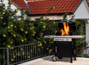 Fotografie z fotogalerie ubytování House Camellia with fenced pool and playground v destinaci Blizna Donja