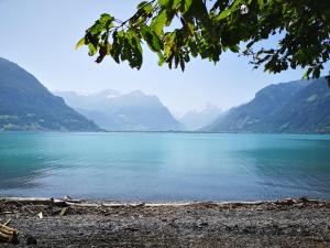 Paesaggio naturale nelle vicinanze dell'appartamento
