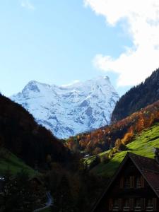 Paesaggio naturale nelle vicinanze dell'appartamento