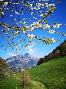 Paesaggio naturale nelle vicinanze dell'appartamento