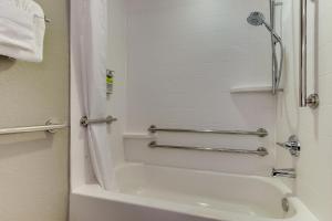 a bathroom with a shower and a tub and a sink at Holiday Inn Express West Palm Beach Metrocentre, an IHG Hotel in West Palm Beach