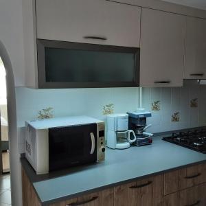 A kitchen or kitchenette at Tó apartman