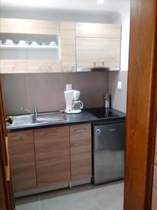 Koala Apartments- Irida, Elea Ierissosにあるキッチンまたは簡易キッチン