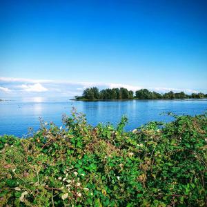 een uitzicht op een grote hoeveelheid water bij B&B ZusenZomer in Oostwoud