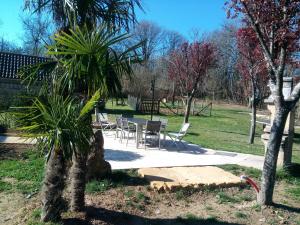 a park with chairs and a table and a palm tree at Les pruniers de la cipière in Peyzac-le-Moustier