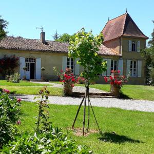 un pequeño árbol frente a una casa en Au Château Juillac, en Juillac