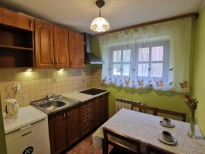 a kitchen with a sink and a table and a window at Willa Kryspinów in Krakow