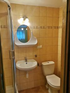 a bathroom with a sink and a toilet and a mirror at Willa Kryspinów in Krakow