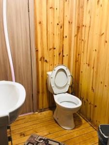 een houten badkamer met een toilet en een wastafel bij У Віти номер2 in Synevyrsʼka Polyana