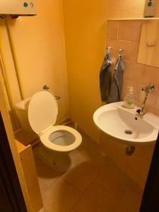 uma casa de banho com um WC e um lavatório em Apartmán Pod Hradem em Soběslav