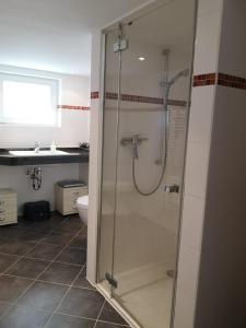 een badkamer met een douche en een wastafel bij Hotel Hegenbarths in Cochem