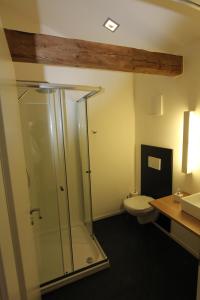 a bathroom with a glass shower and a toilet at Appartements Bad Birnbach in Bad Birnbach