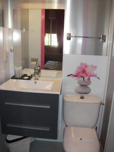 a bathroom with a toilet and a sink with a flower on it at Hôtel Le Michelet in Gap