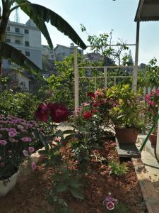 a garden with flowers and a white fence at Nhà của Sóc in Da Lat