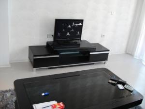TV a/nebo společenská místnost v ubytování Apartment Rich