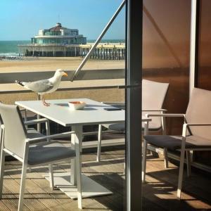 Eine Möwe steht auf einem Tisch am Strand in der Unterkunft Luxueus appartement met ruim terras, frontaal zeezicht 4 à 5 personen in Blankenberge