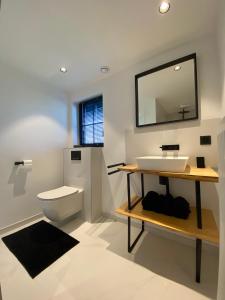 een badkamer met een wastafel, een toilet en een spiegel bij Damse Paveljoentje comfort en uitzicht in Damme in Damme