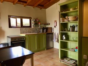 een keuken met groene kasten en een tafel erin bij Quinta do Sobral de São Geraldo in São Geraldo