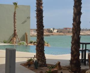 two palm trees in front of a swimming pool at Dakhla South Bay in Dakhla