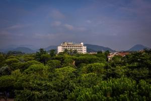 a tall white building in the midst of trees at Hotel Garden Terme in Montegrotto Terme