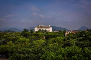 wysoki biały budynek pośród drzew w obiekcie Hotel Garden Terme w mieście Montegrotto Terme