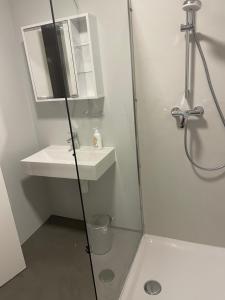 Baðherbergi á Skyloft Apartment Feldkirch