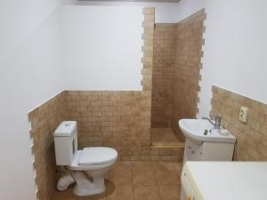a bathroom with a toilet and a sink at Домик из двух комнат + кухня столовая с удобствами, со своим двориком под ключ in Sukhum