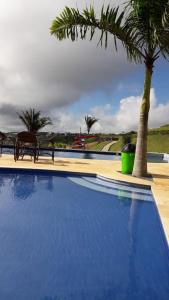 a blue swimming pool with a palm tree in the background at Apartamento Condomínio Sonhos da Serra - Bananeiras in Bananeiras
