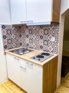 Kuchyň nebo kuchyňský kout v ubytování Kiko apartmani