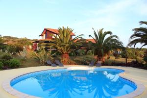 a pool with chairs and palm trees and a house at O Zimbreiro in Piedade