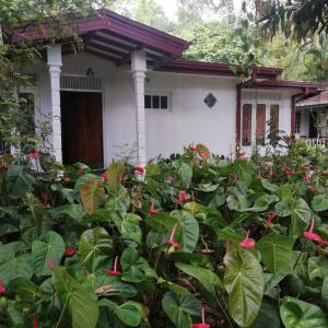 a house with red flowers in front of it at Memories in Hali Ela