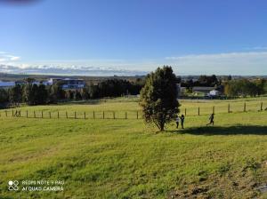 two people walking in a field with a tree at Cabañas Alto Volcanes in Puerto Montt