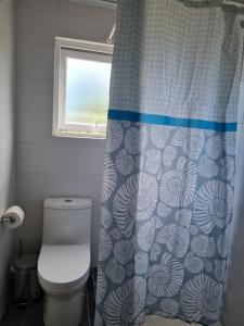 a bathroom with a toilet and a shower curtain at Cabañas Alto Volcanes in Puerto Montt