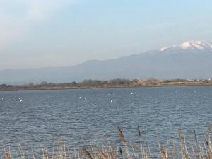 Imagen de la galería de Mobil Home camping Mar Estang bord de plage, en Canet-en-Roussillon